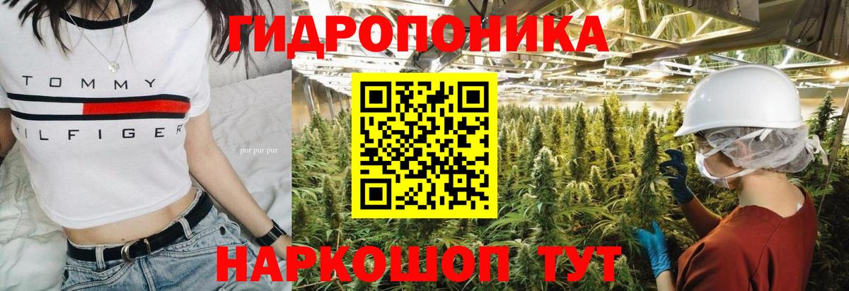 Бошки Шишки AK-47 Родники